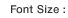 Font Size: